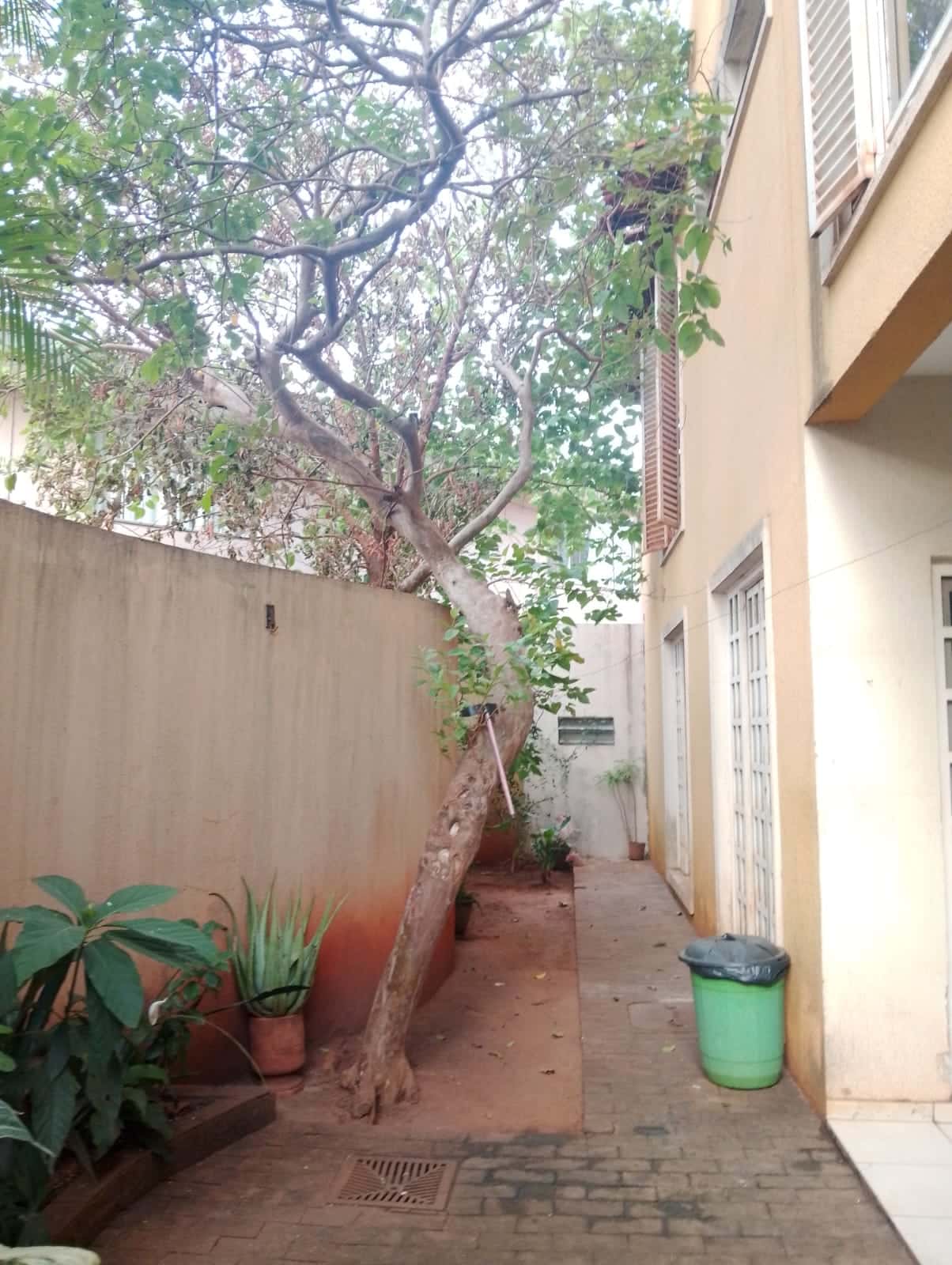 Sobrado Setor Campinas 437M²