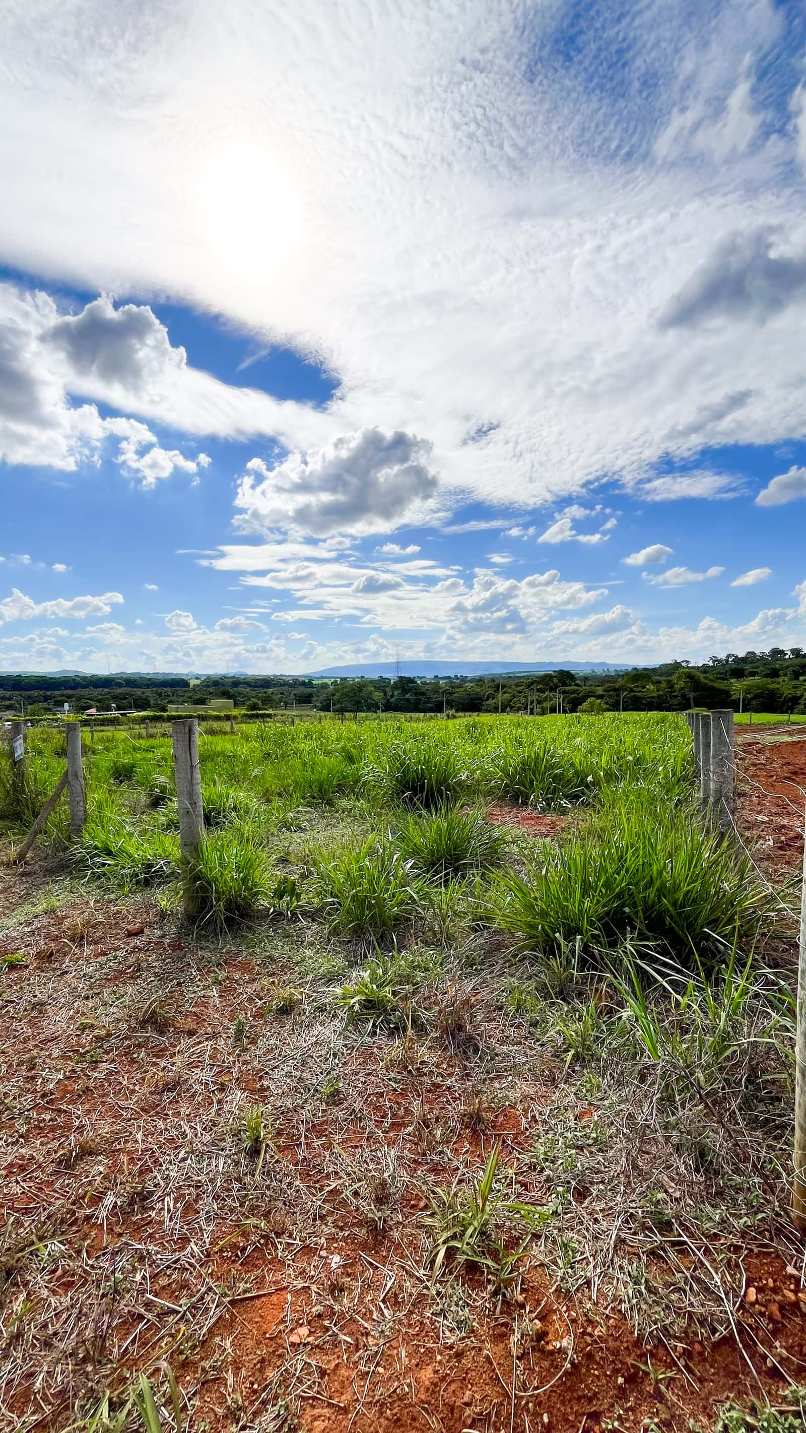 Chácara Terra Santa Canaã 1.520 m²