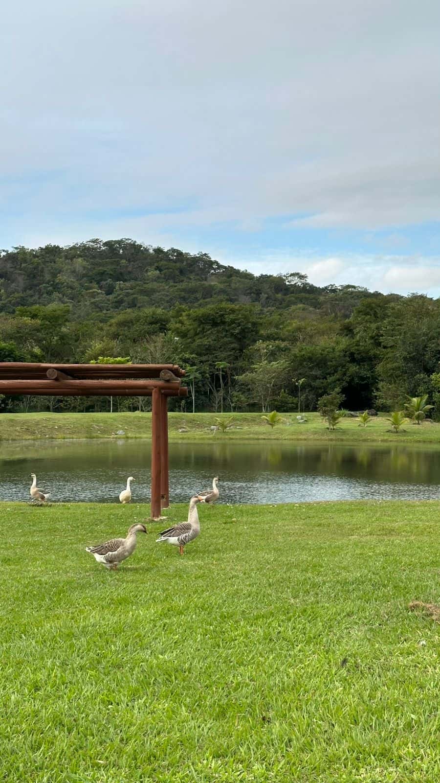 Lote Jardins Porto 322m²