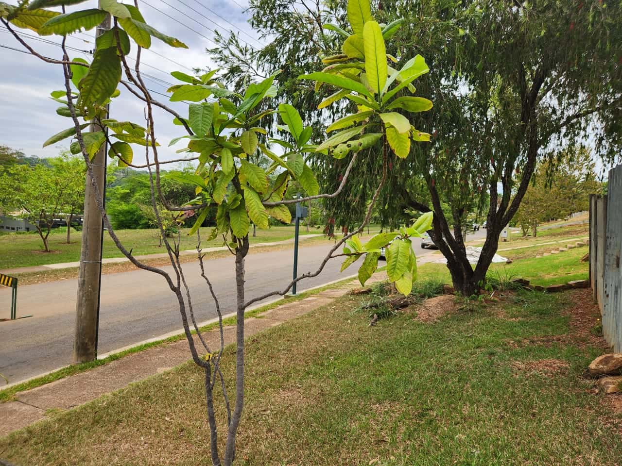 Lote Condomínio Aldeia do Vale 1622m²