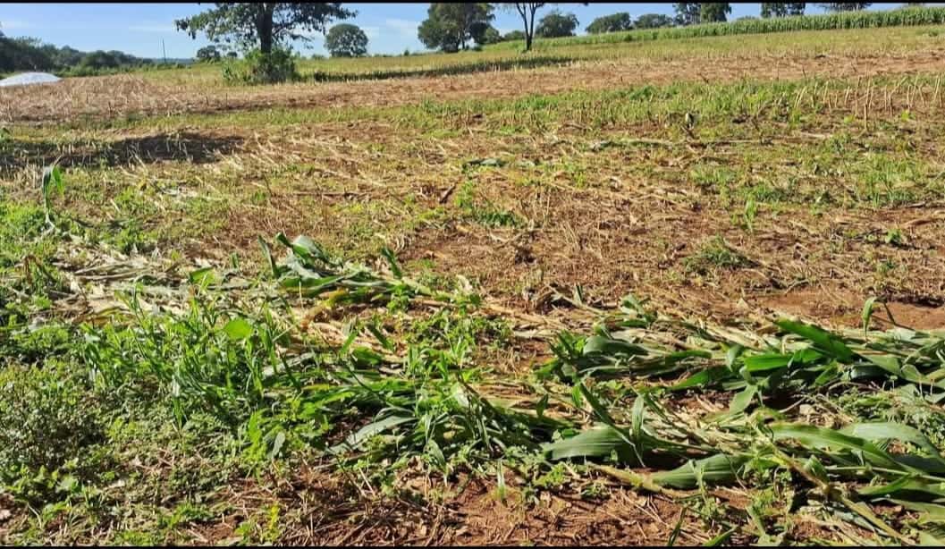 Área Conjunto Habitacional Jardim Sabiá 96800M²