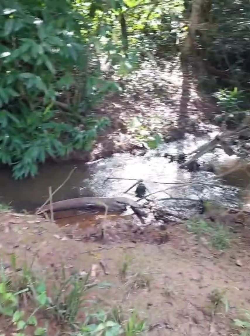 Chacará Bela Vista 72m²