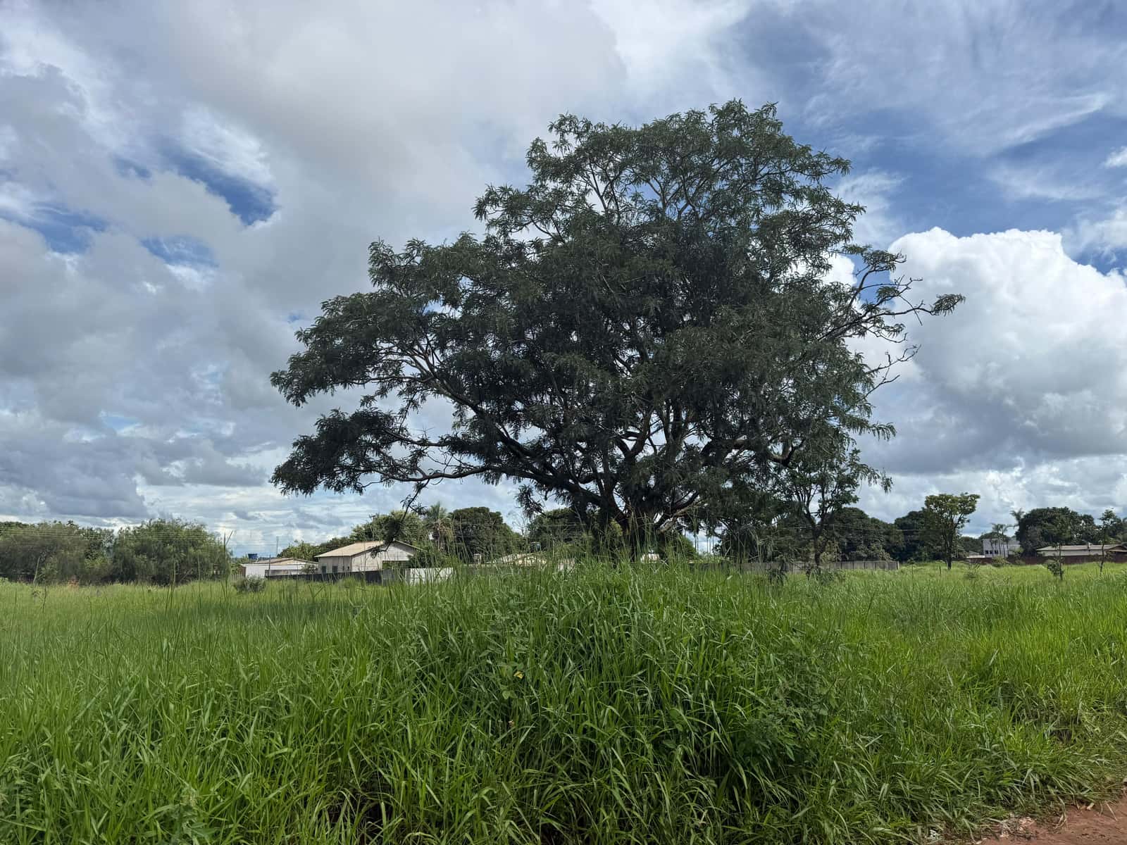 Lote Setor Andreia Madre Germana 3.000 m²