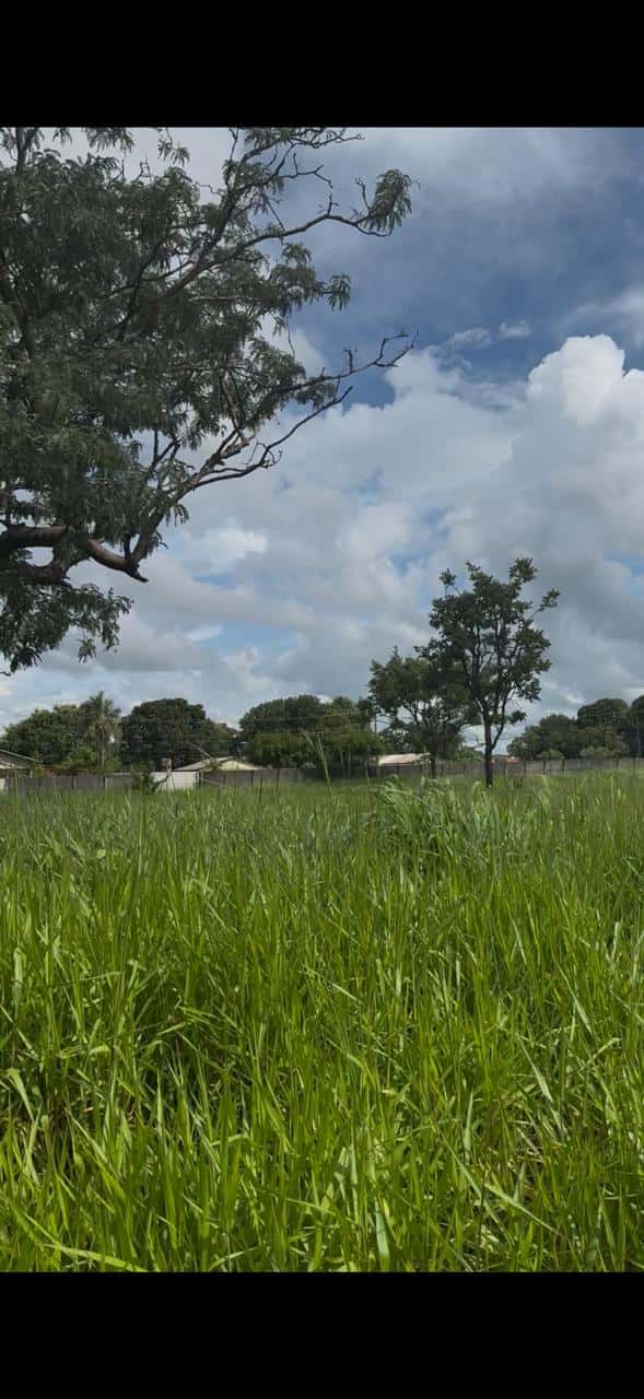 Lote Setor Andreia Madre Germana 3.000 m²