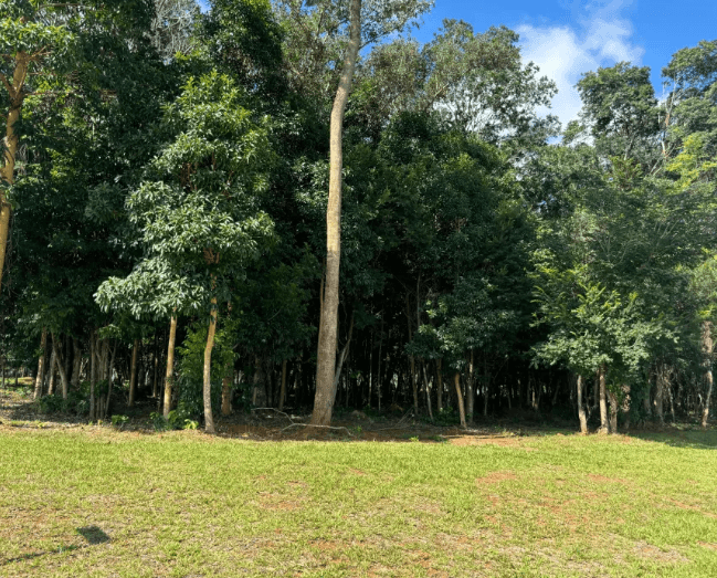 Lote Jardins França 408m²