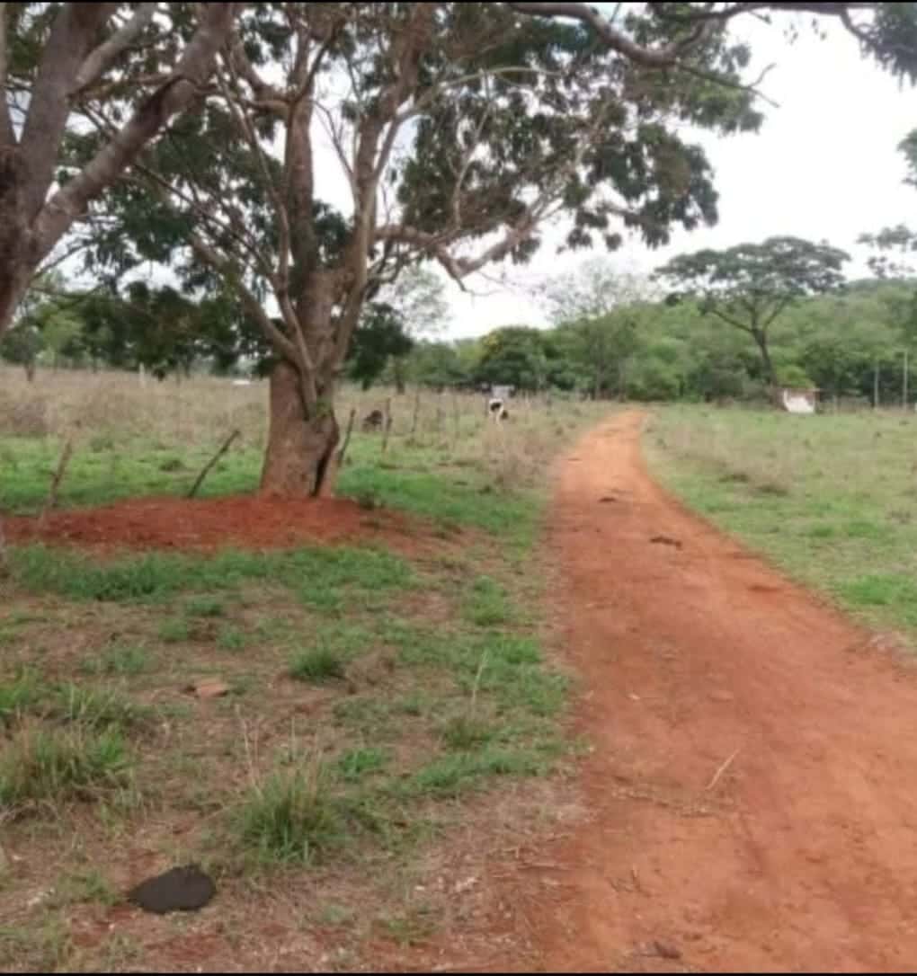 Área Conjunto Habitacional Jardim Sabiá 96800M²