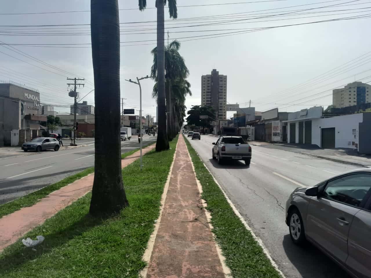 Lote Jardim América 480m²