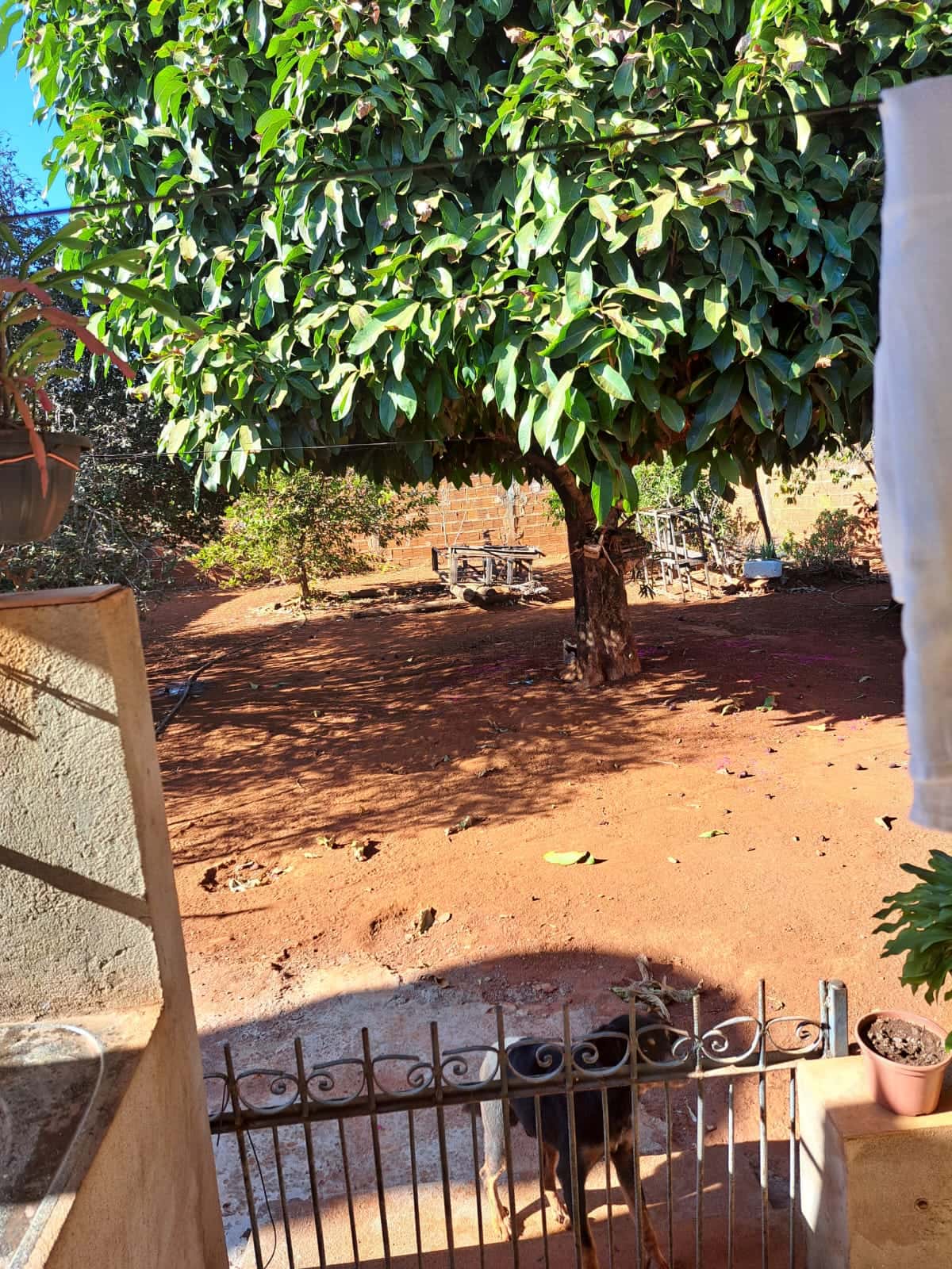 Lote Conjunto Primavera 449m²