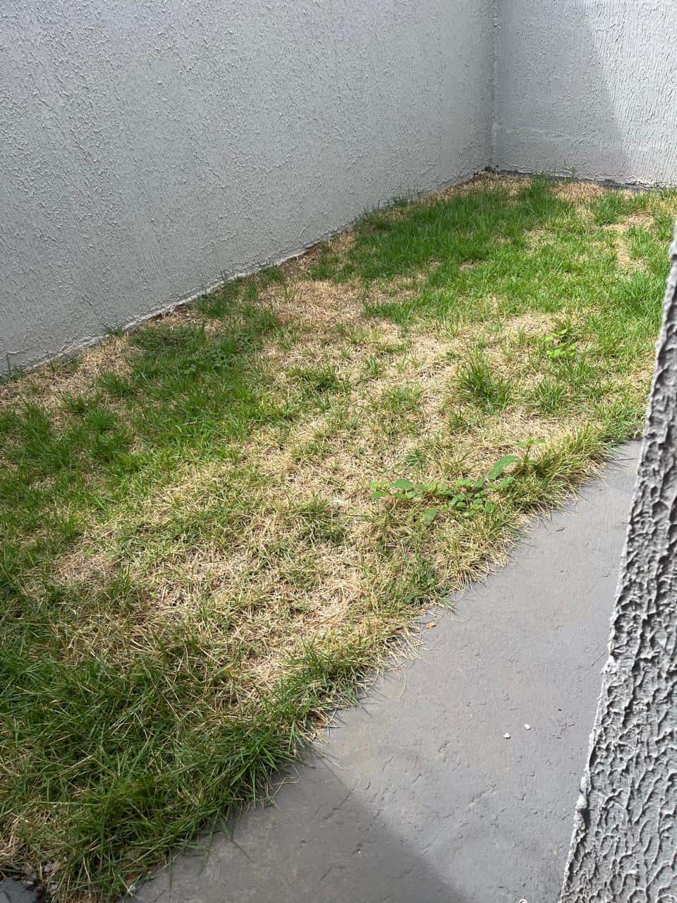 Casa Res. Buena Vista 70m²