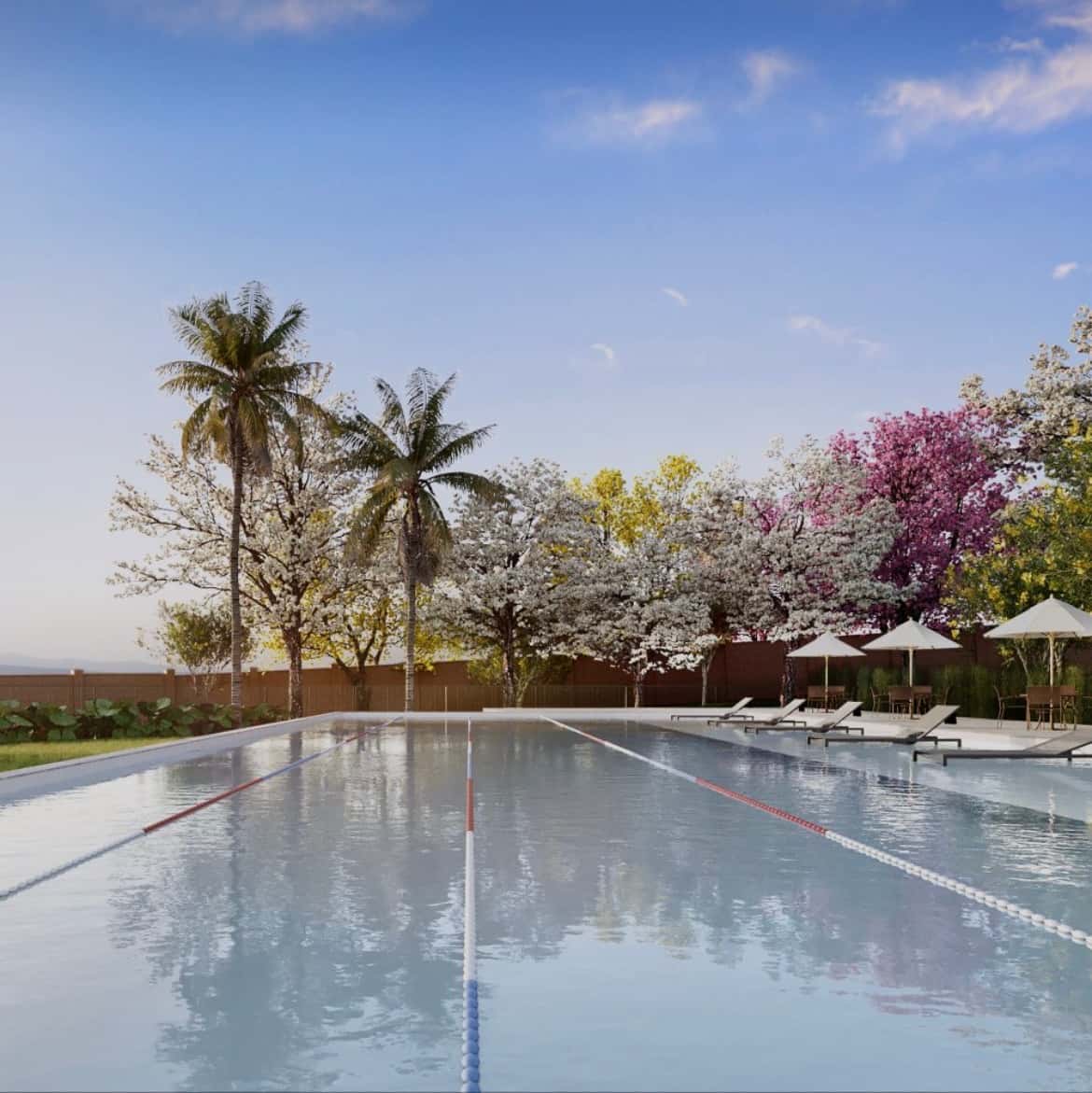 Lote Jardins Roma 271m²