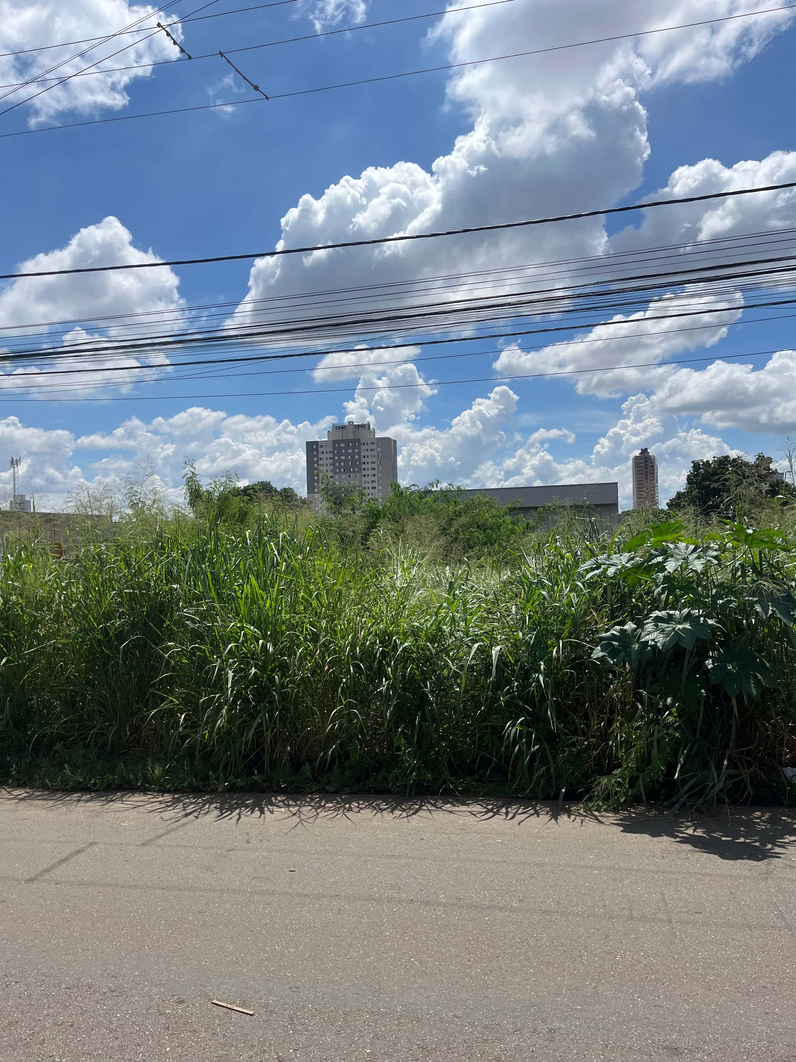 Lote no Setor Vila Rosa 442m²