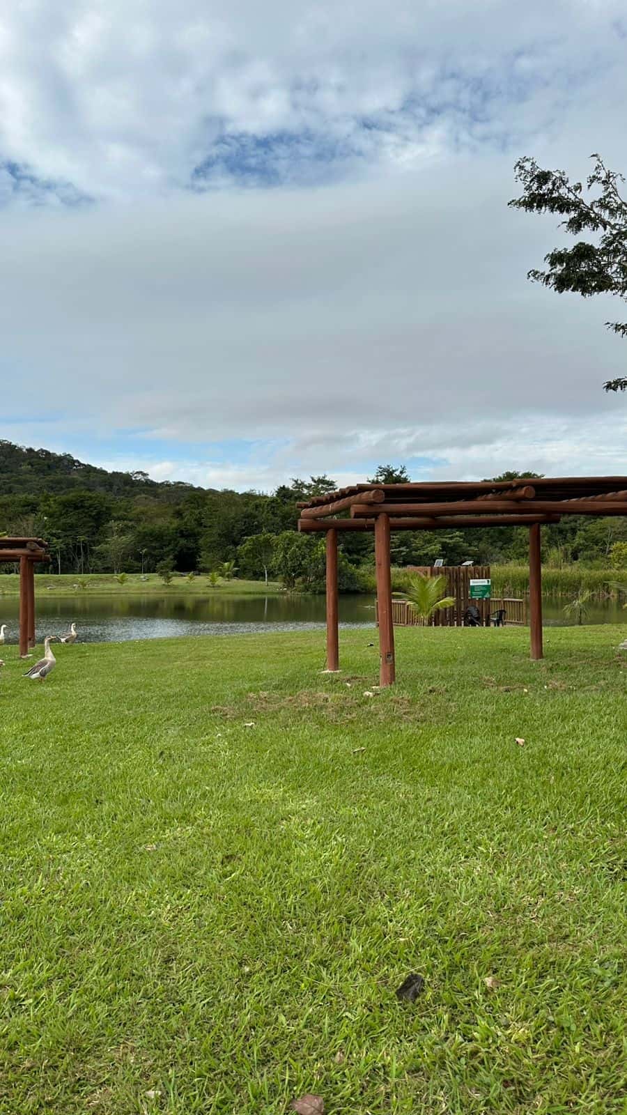 Lote Jardins Porto 322m²