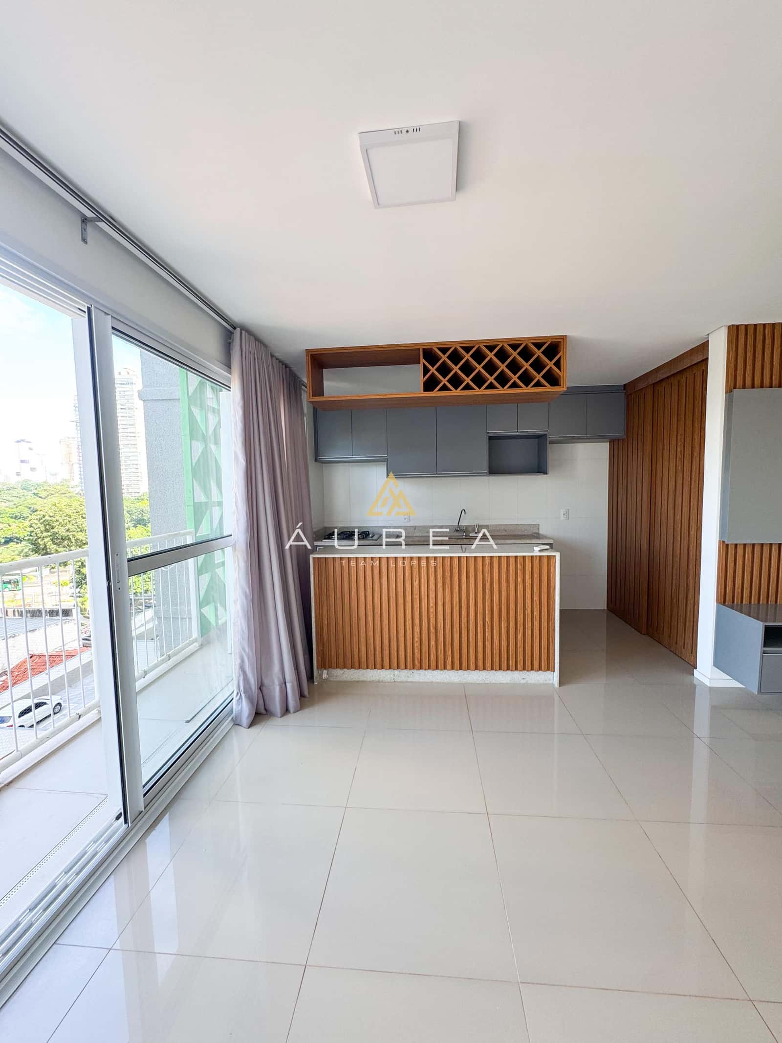 APARTAMENTO 3Q COM SUÍTE VISTA PARQUE AREIÃO
