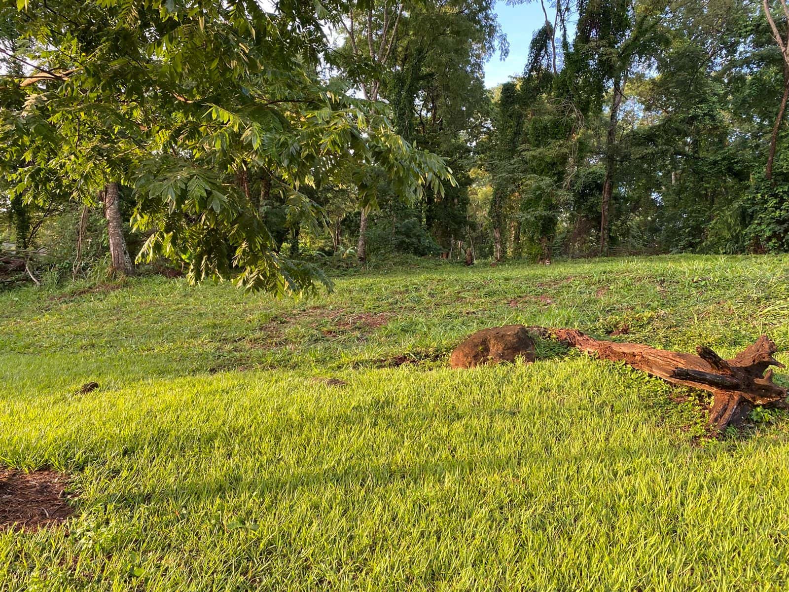 Lote Aldeia do Vale 2.030m²