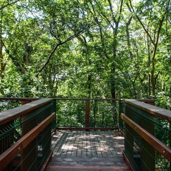 Lote Plateau Dor Privilege 640,75M²