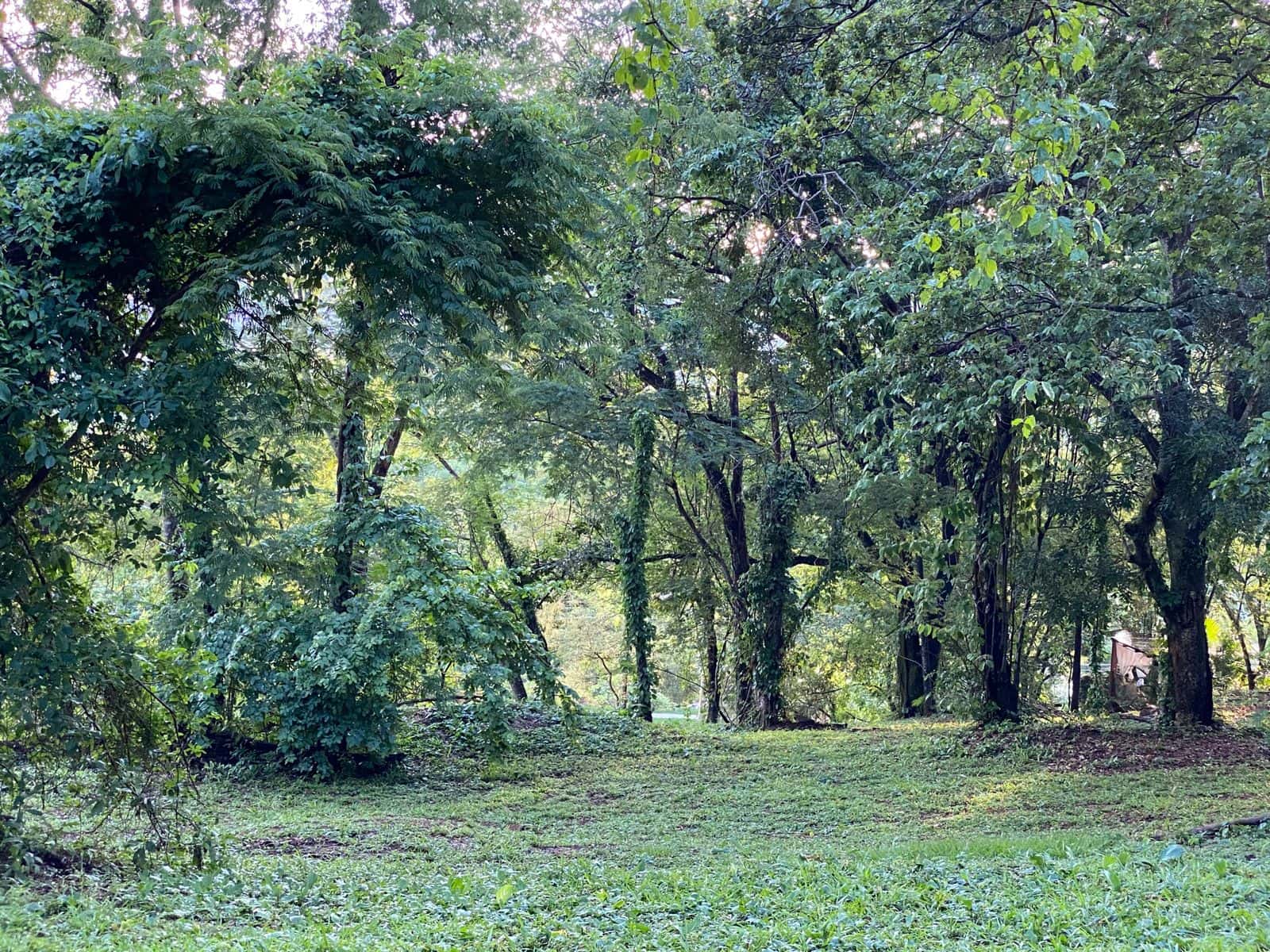 Lote Aldeia do Vale 2.030m²