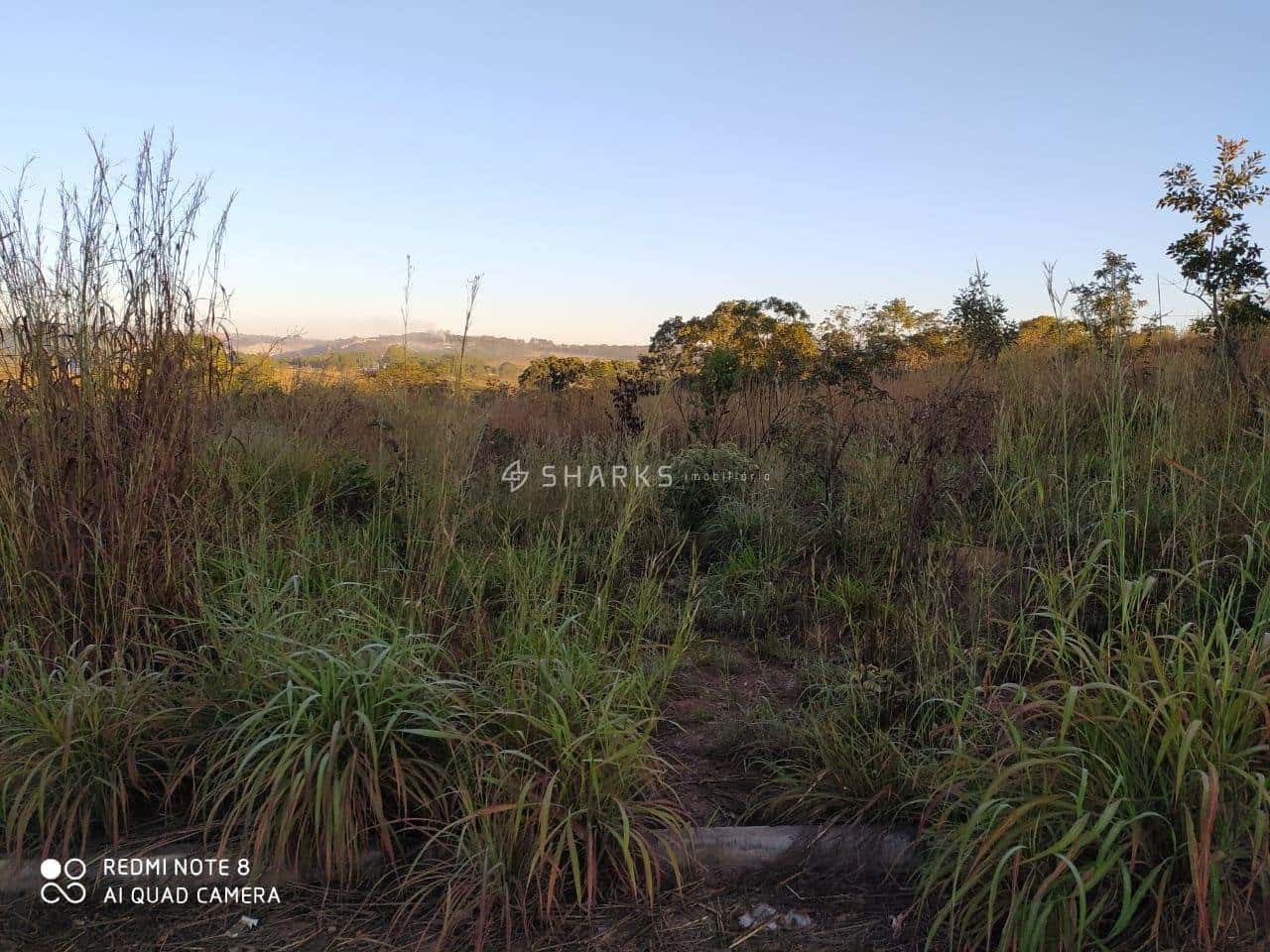 PHOTO-2023-05-02-15-07-25 4