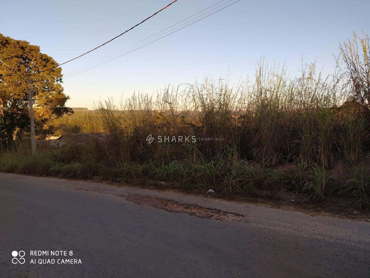 PHOTO-2023-05-02-15-07-26 3