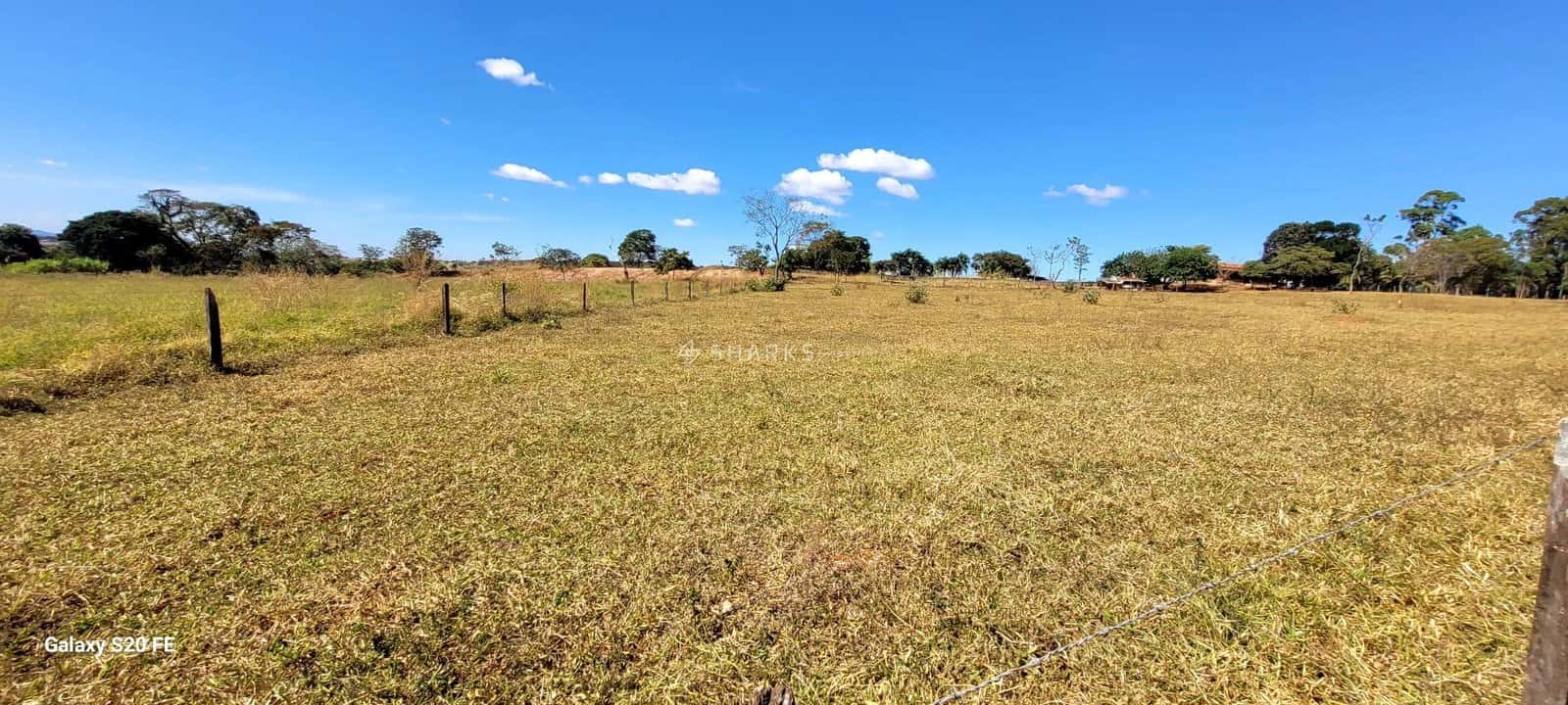 WhatsApp Image 2024-06-09 at 13.55.36 (1)