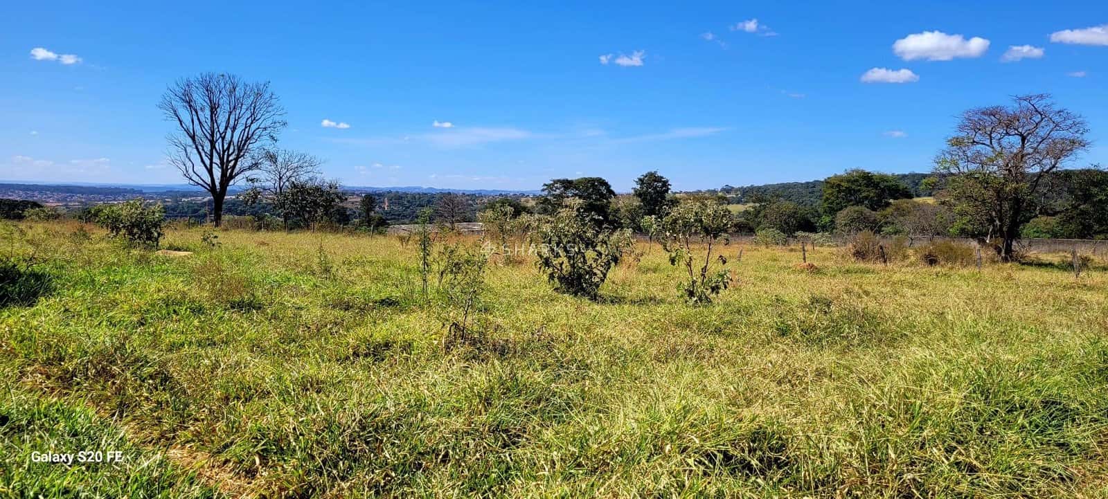 WhatsApp Image 2024-06-09 at 13.55.30