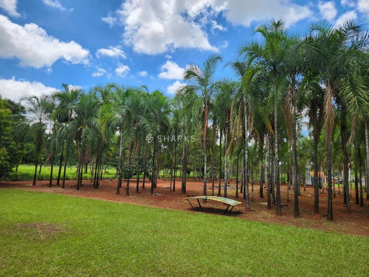 WhatsApp Image 2024-07-15 at 19.26.40 (1)