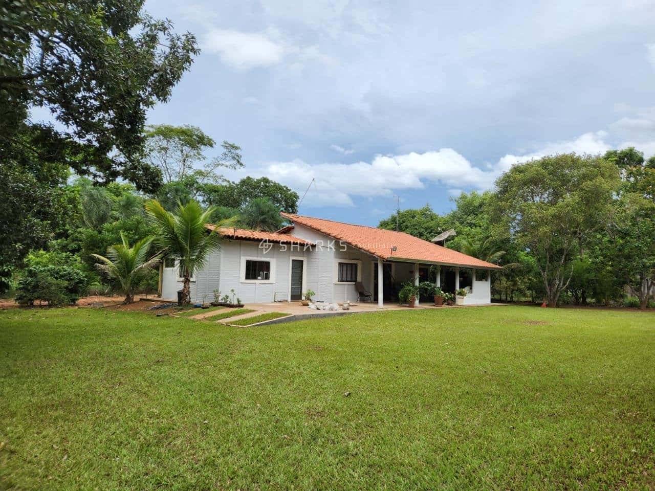 WhatsApp Image 2024-07-15 at 19.26.39 (1)