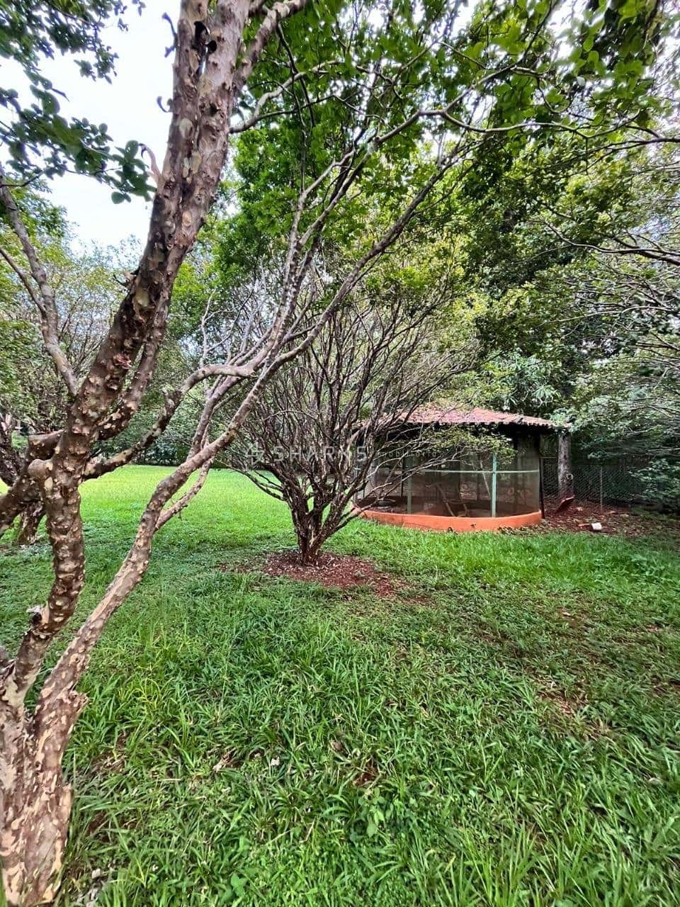 WhatsApp Image 2024-07-09 at 12.01.43 (2)