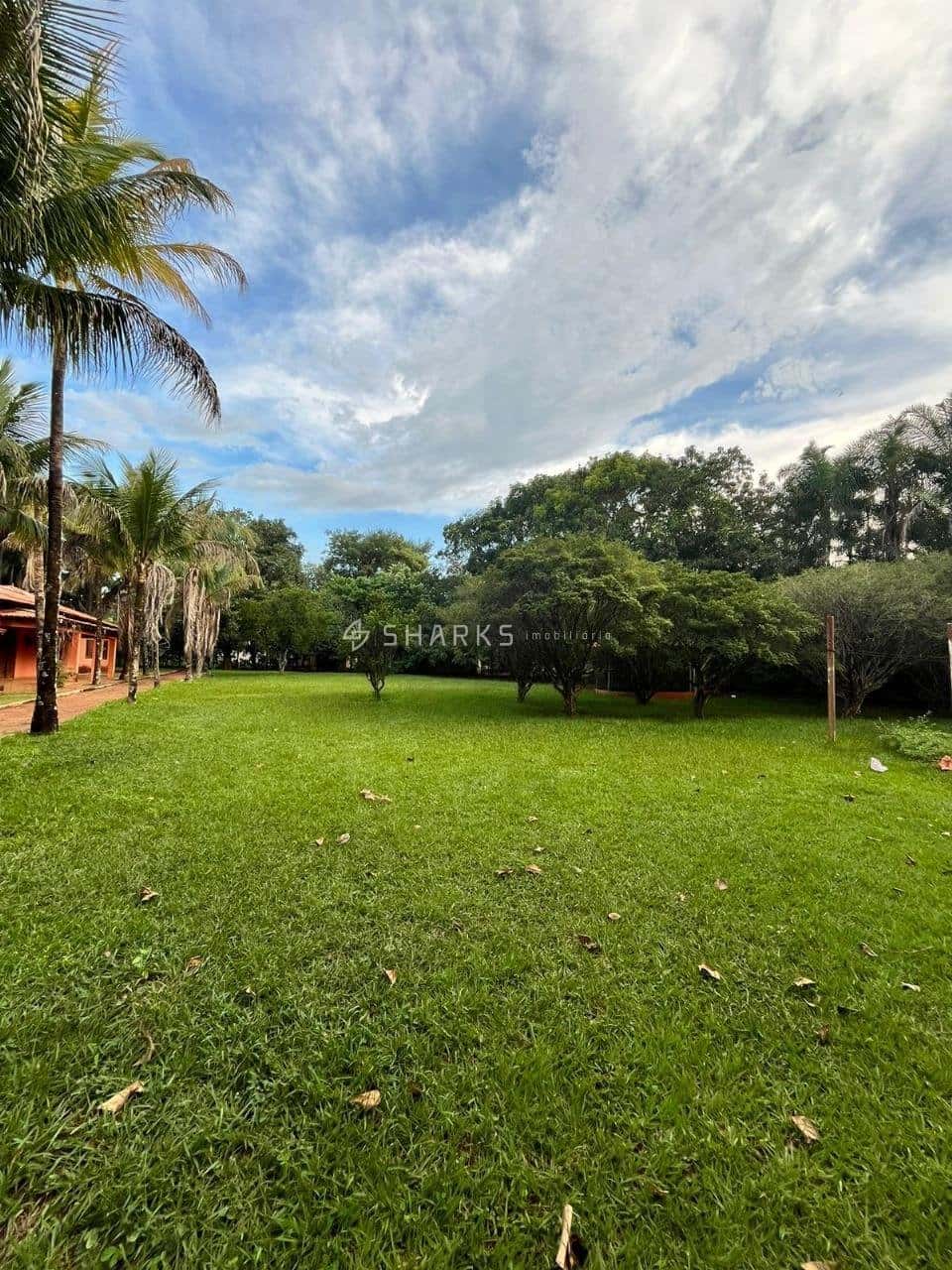 WhatsApp Image 2024-07-09 at 12.01.43 (1)