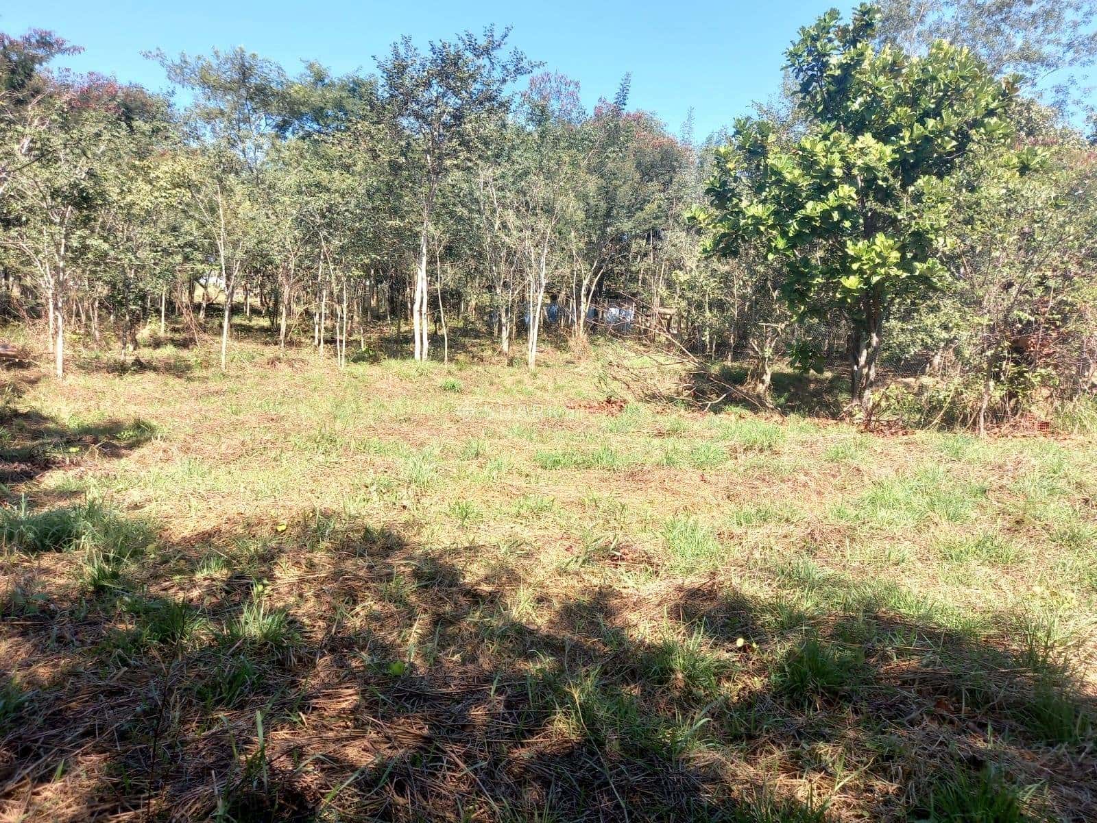 WhatsApp Image 2024-01-22 at 09.44.20