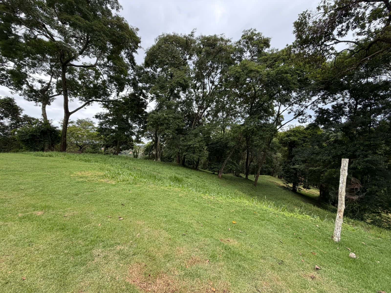 Lote Aldeia do Vale 4.253m²