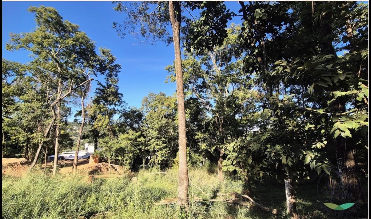Lote Residencial Aldeia do Vale 3768m²