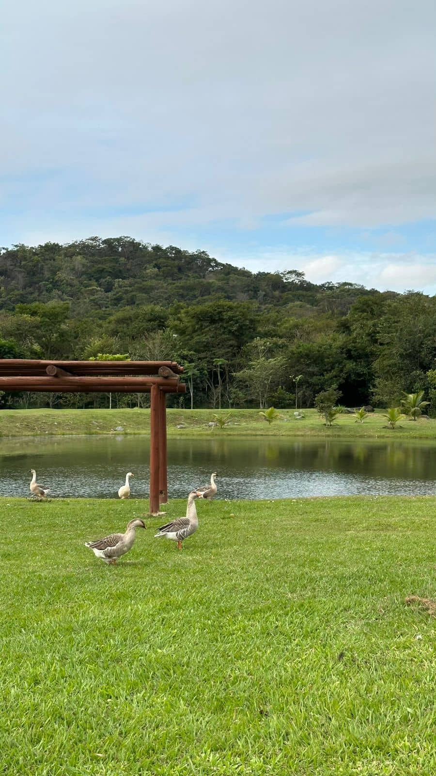 Lote Jardins Porto 322m²