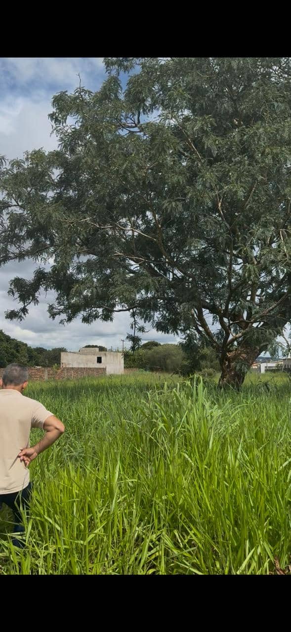 Lote Setor Andreia Madre Germana 3.000 m²