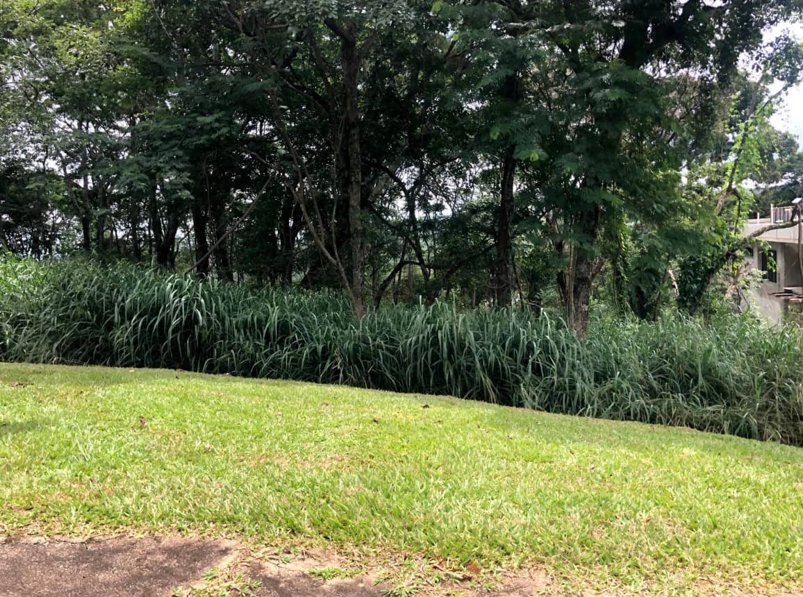 Área Aldeia do Vale 2.525m²