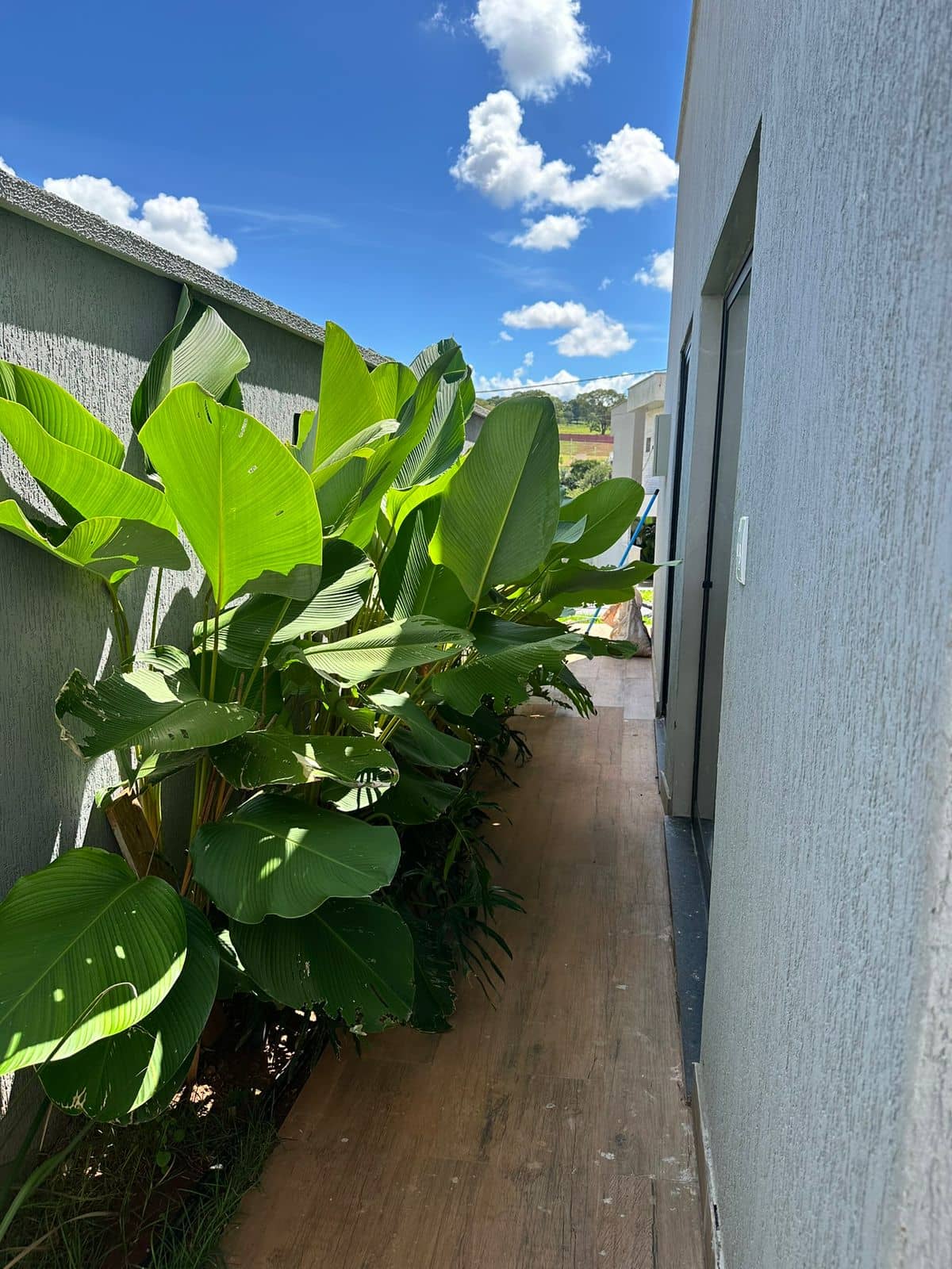 Casa Jardins Capri 387M²