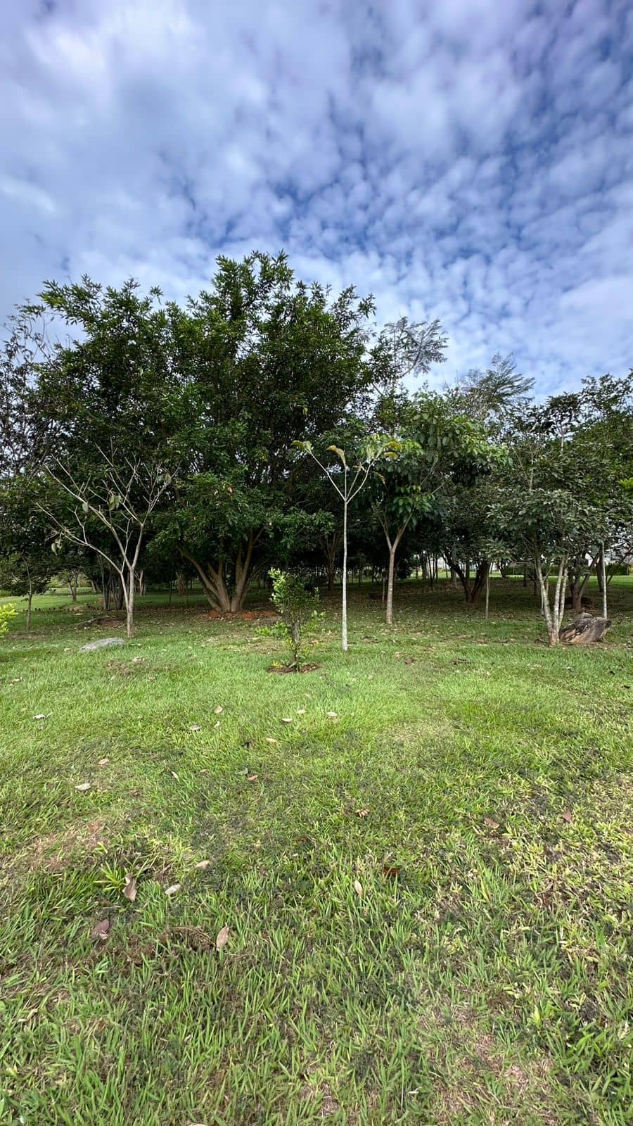 Lote Jardins Porto 322m²