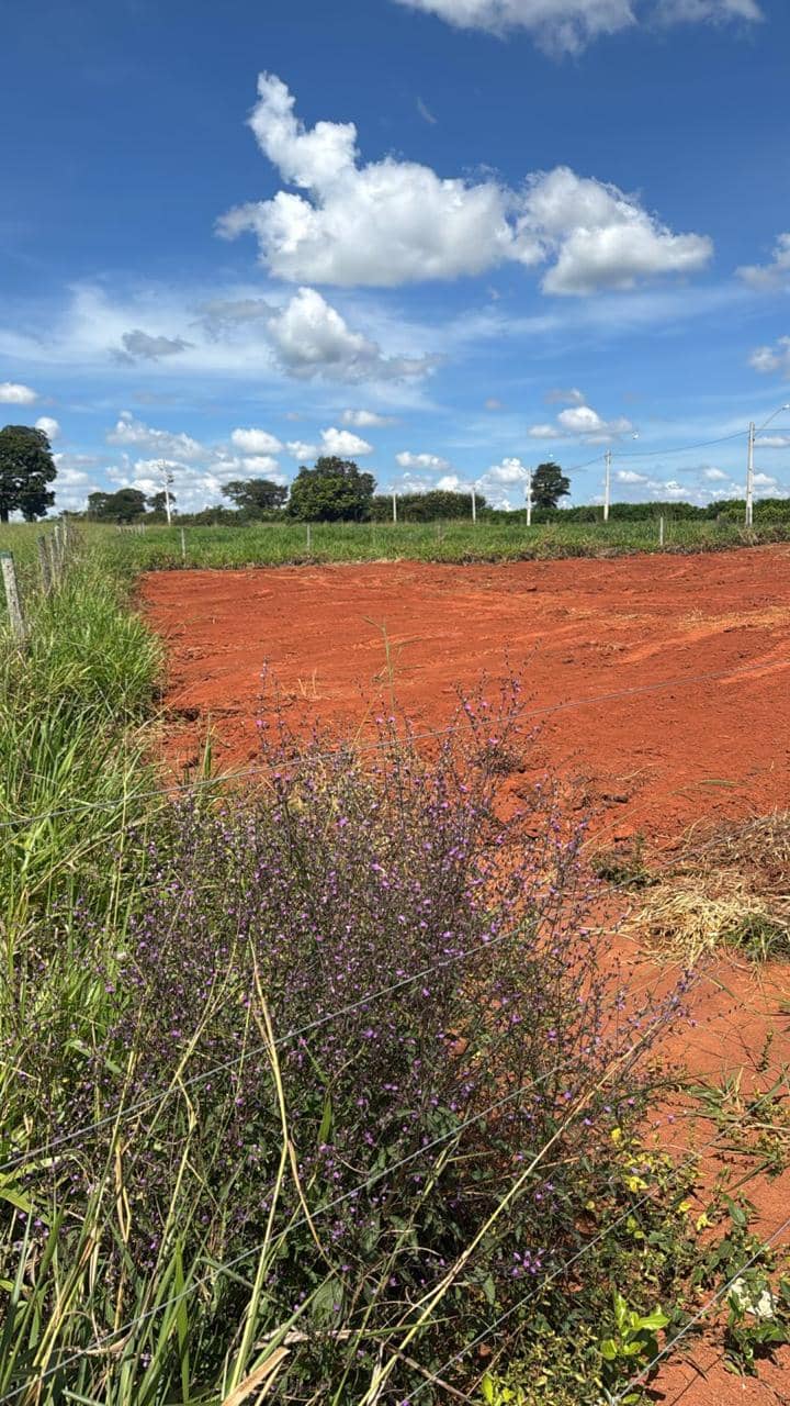 Chácara no Monte das Oliveiras – Complexo Terra Santa | Trindade/GO