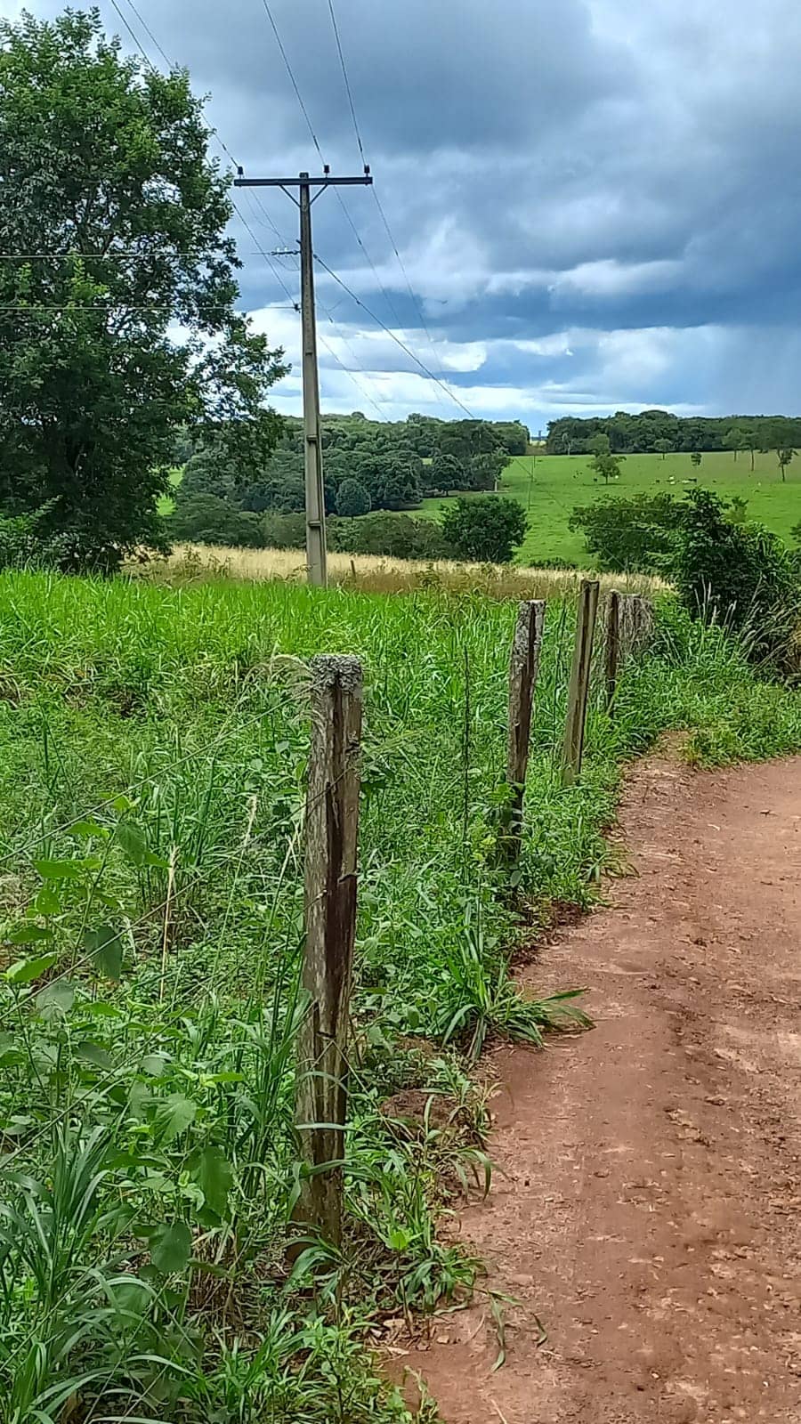 Chácara em Bela VIsta de Goiás 20m²