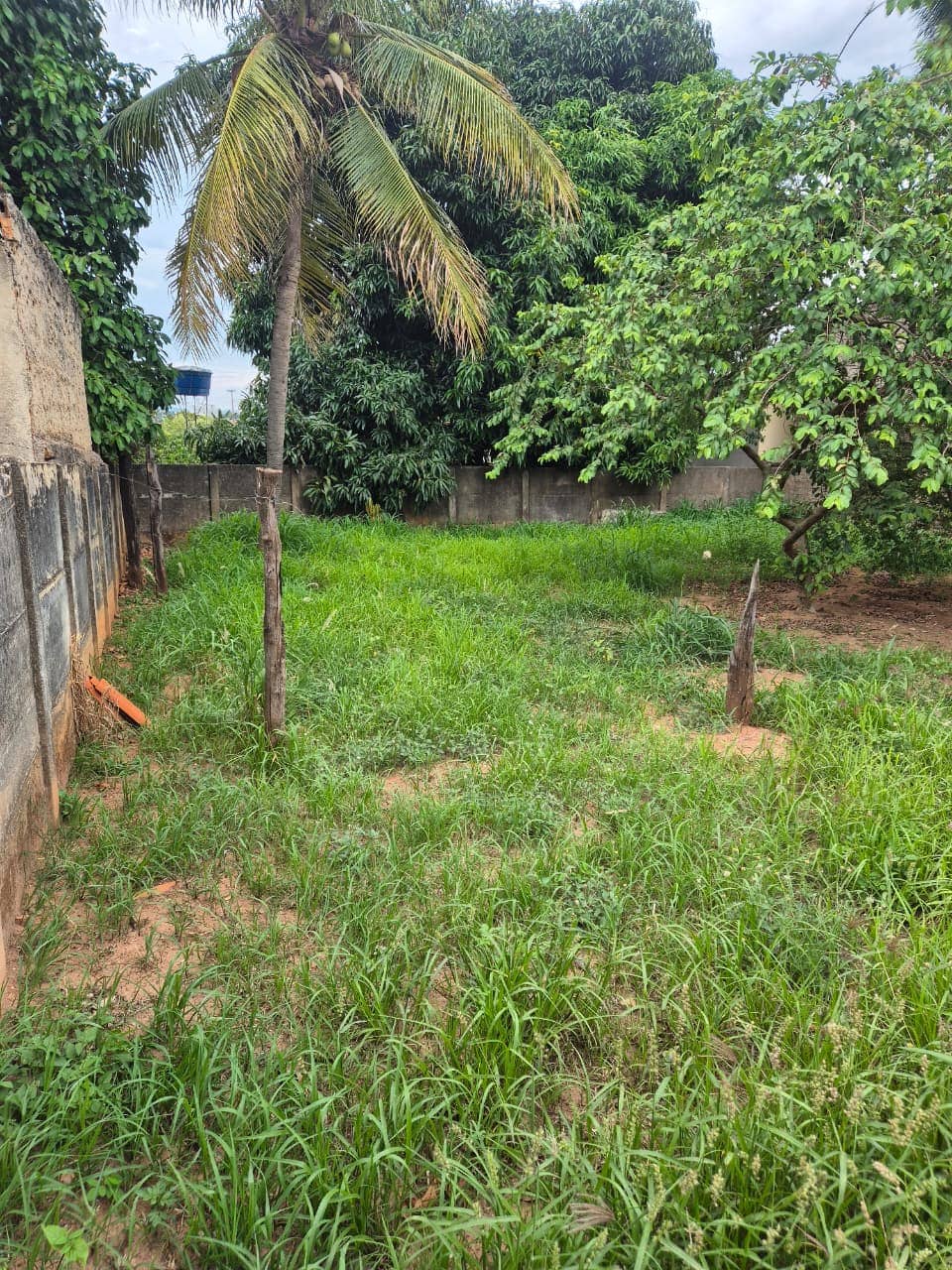 Lote na Cidade de Edéia 525M²