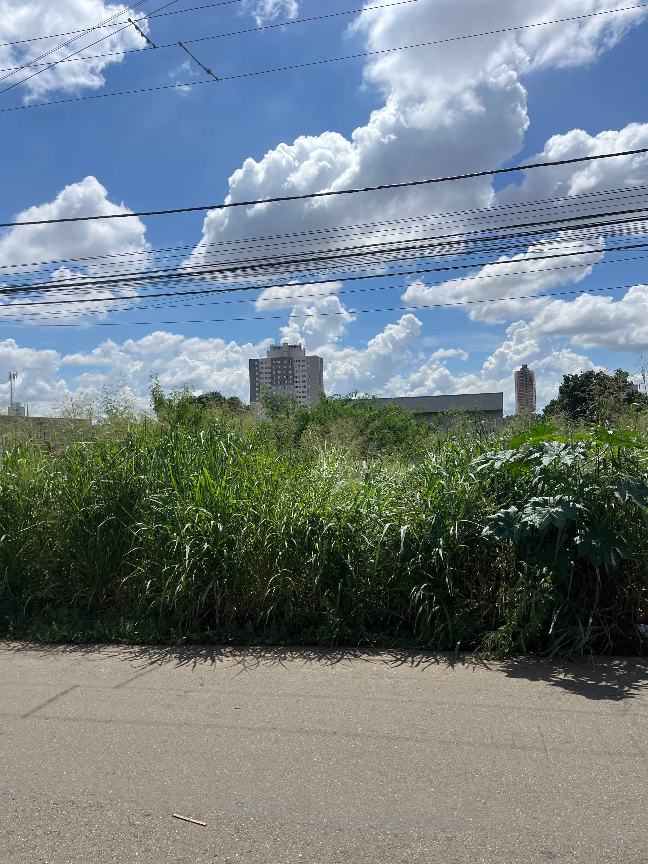 Lote no Setor Vila Rosa 442m²