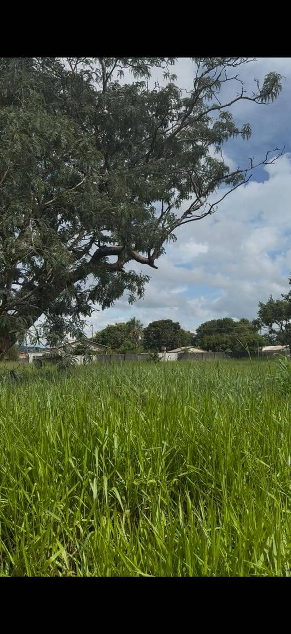 Lote Setor Andreia Madre Germana 3.000 m²