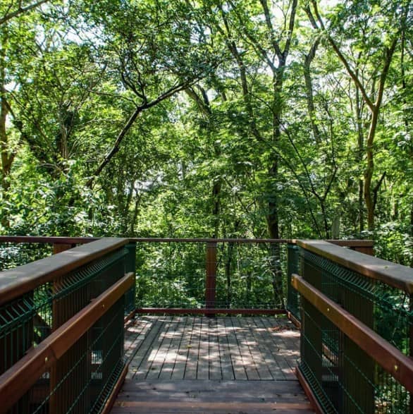 Lote Plateau Dor Privilege 640,75M²