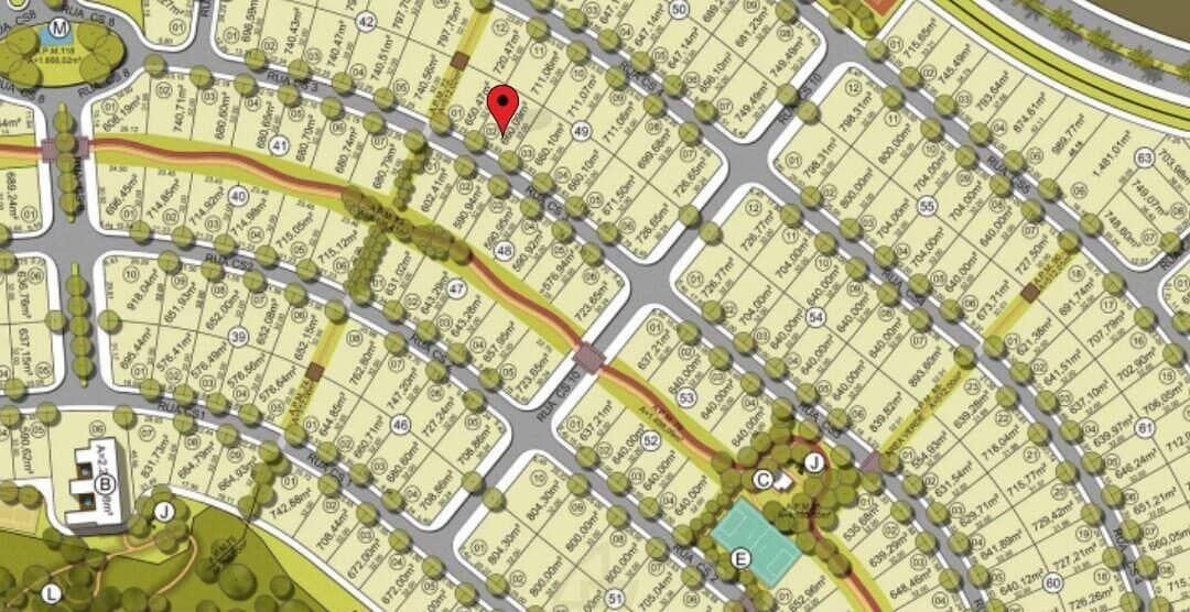 WhatsApp Image 2025-01-16 at 14.19.29