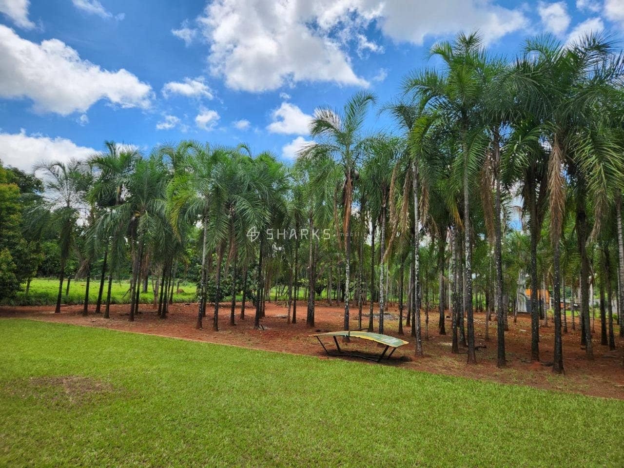 WhatsApp Image 2024-07-15 at 19.26.40 (1)