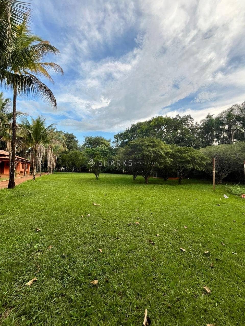 WhatsApp Image 2024-07-09 at 12.01.43 (1)