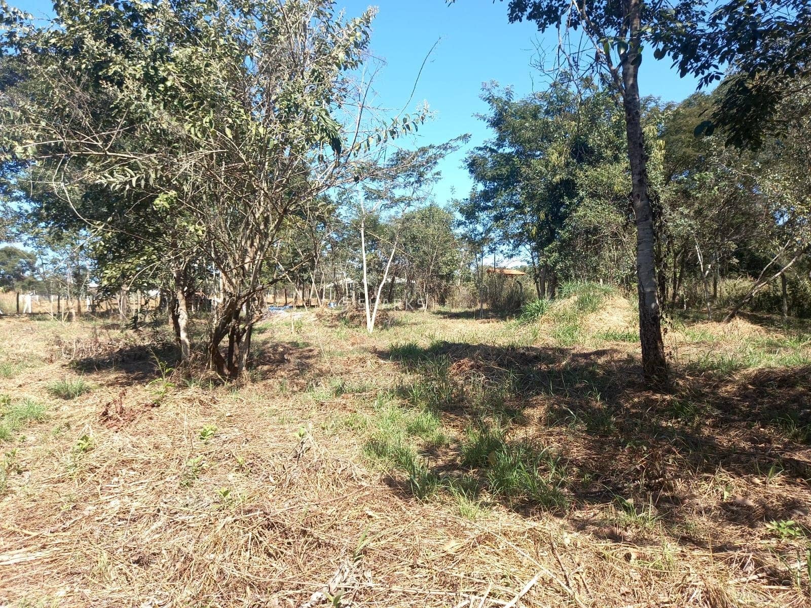 WhatsApp Image 2024-01-22 at 09.44.11