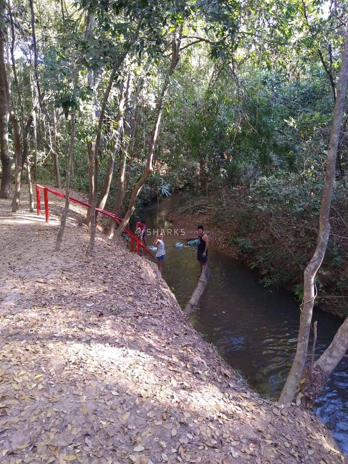 4cf6c0d6-d349-4ea9-a97b-94fc718a6c80