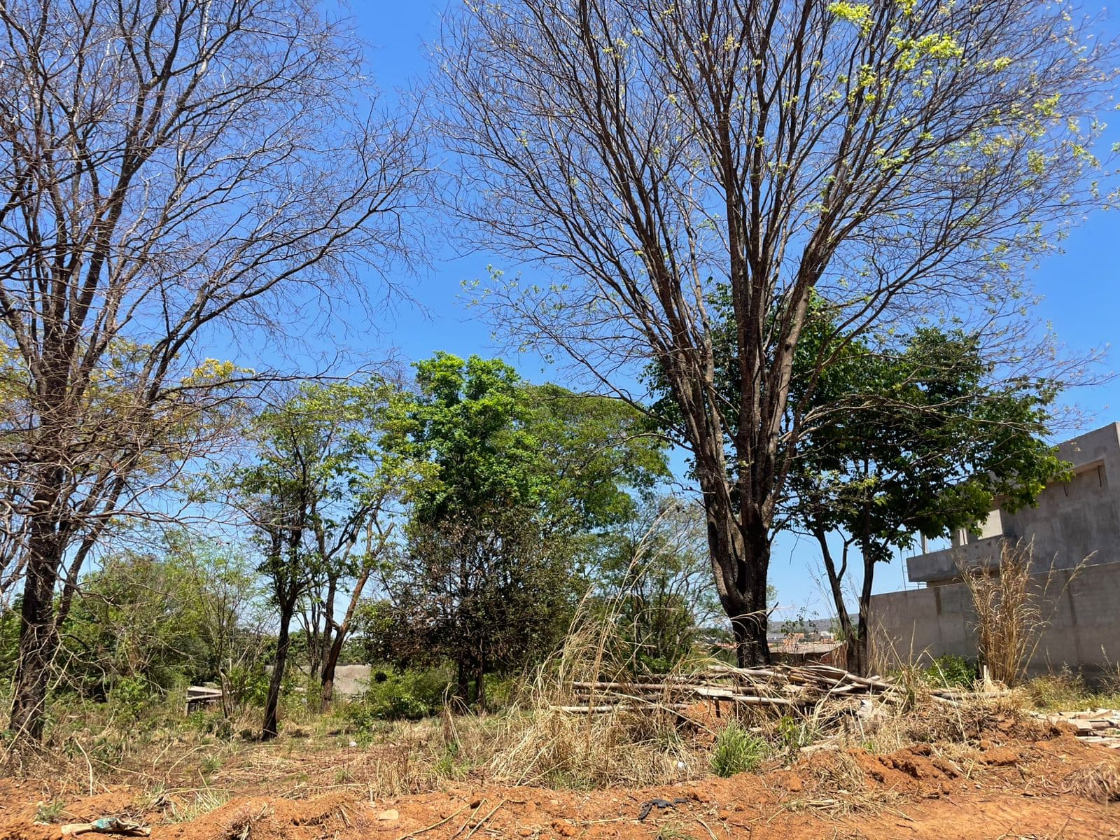 Lote no Buriti Sereno 443m²