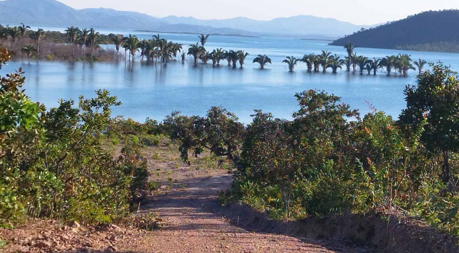 CHACARA SERRA DA MESA
