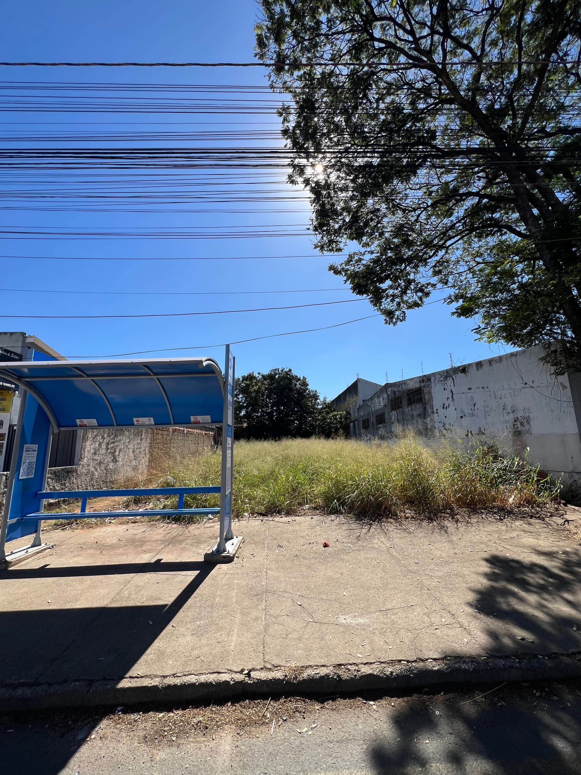Lote Veiga jardim